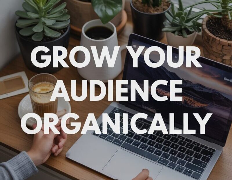 grow your audience
